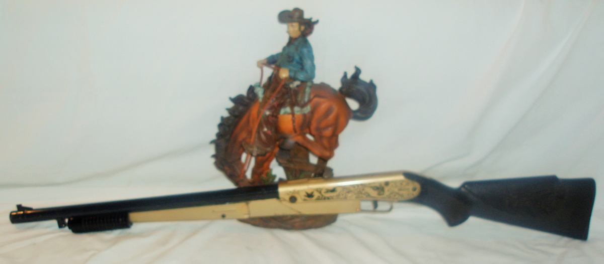 Daisy Model 25 pump BB Gun gold ***********   sold