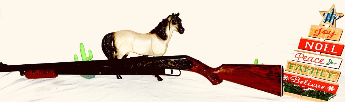 Daisy model 25****SOLD