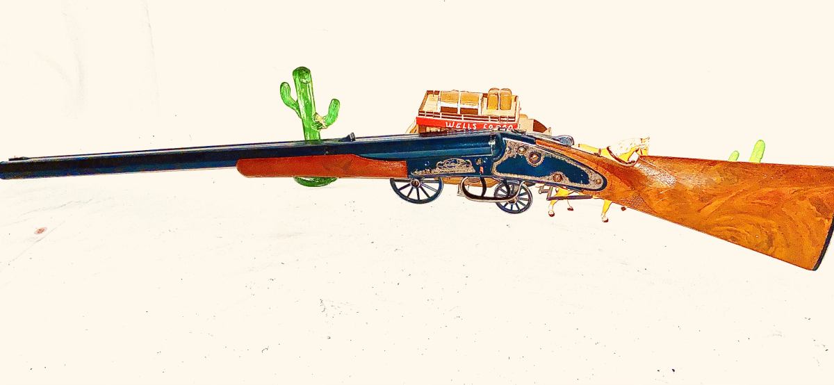 Daisy model 21 double barrel