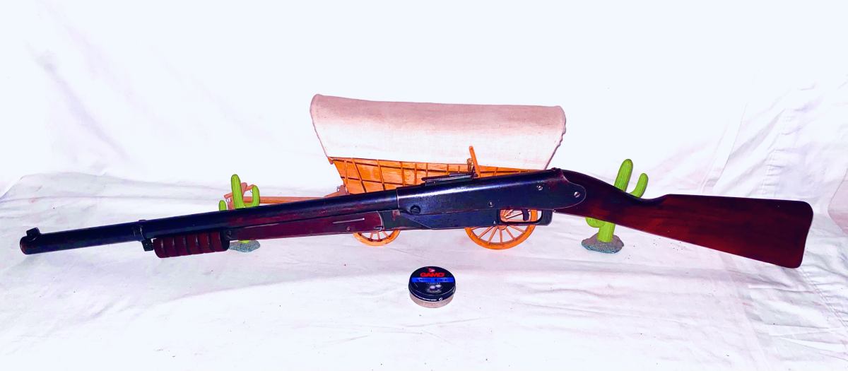 Daisy model 25 variant 3