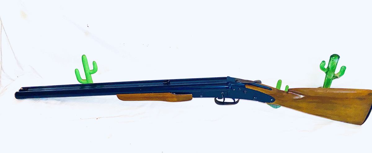 Daisy custom model 21 double barrel****SOLD