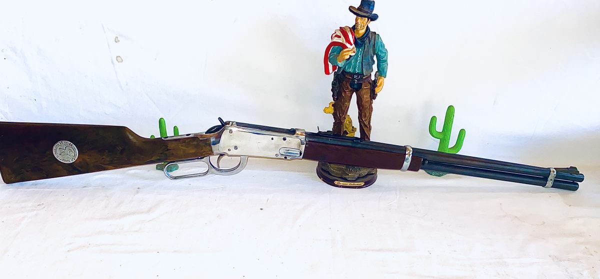 Daisy model 1894  custom