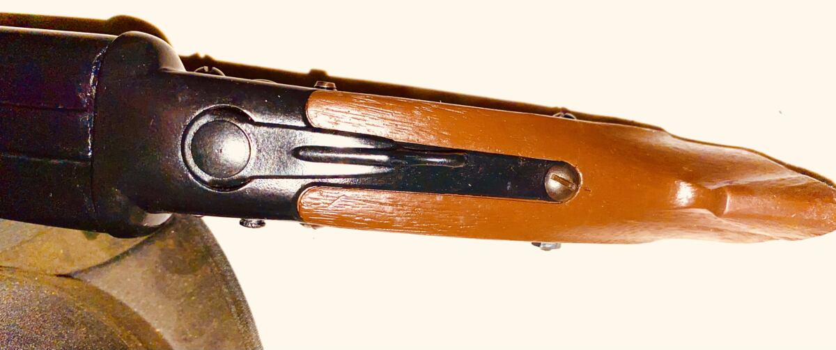 Daisy double barrel mare’s leg - Image 9