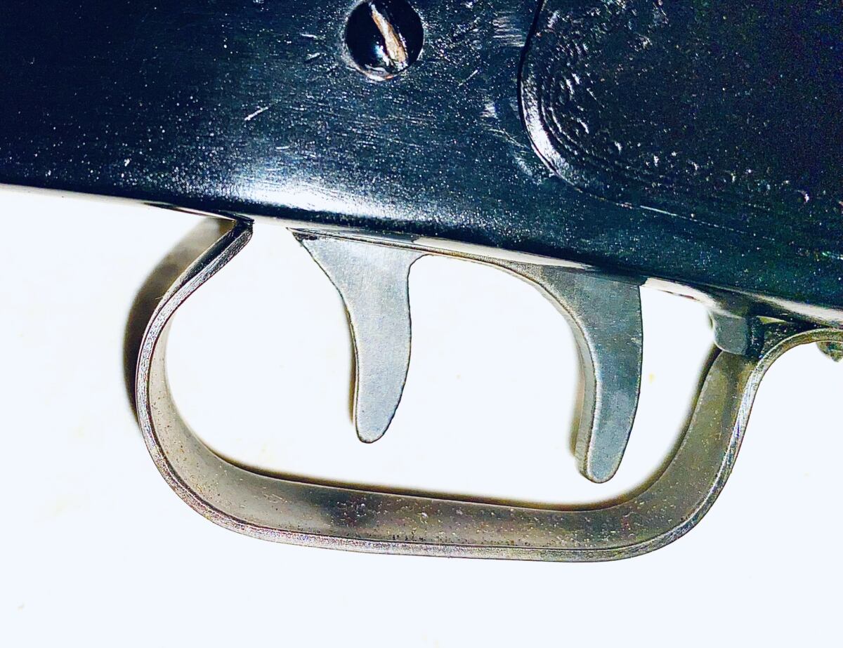 Daisy double barrel mare’s leg - Image 5